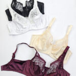 سوتین فنر‌دار پرلون شاندرمن Shanderman مینی مایزر کد 2280 طرح Maranta