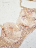 ست شورت و سوتین فنردار توری ژینا Jina کرم گلبهی کد 1007