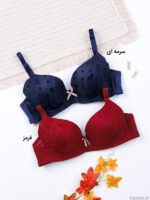 سوتین اسفنجی فنردار کد 712