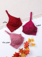 سوتین پرسی نخ و دانتل فنردار ایزابلا کد 0170