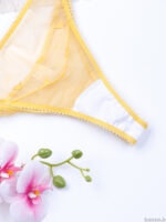 ست شورت و سوتین فنردار توری Bereta برتا کد 2020G