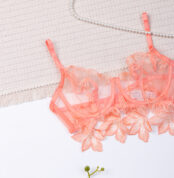 ست شورت و سوتین فنردار توری Bereta برتا کد 2442O